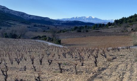 La CAVE DES COPAINS vous fais découvrir le Vignoble du Languedoc-Roussillon 